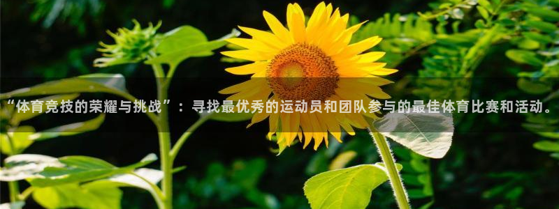 哈哈体育下载