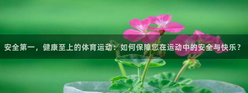 哈哈体育