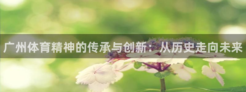 哈哈体育十年：广州体育精神的传承与创新：从历史走向未来