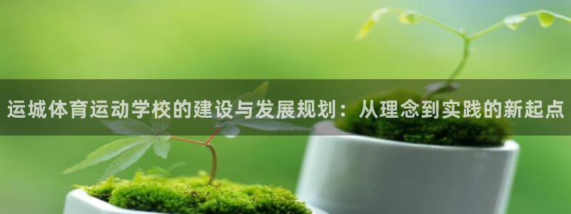 哈哈体育十年：运城体育运动学校的建设与发展规划：从理念到实践的新起点