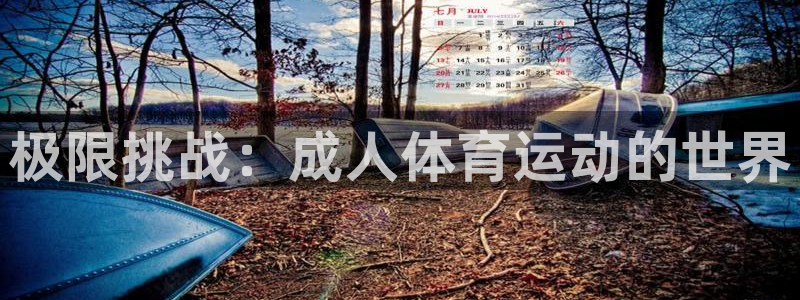 哈哈体育：极限挑战：成人体育运动的世界