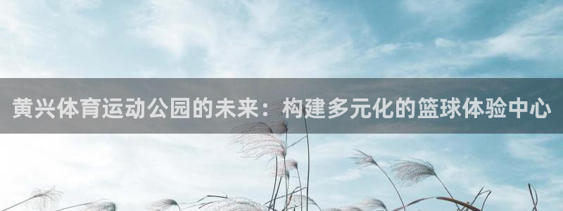 哈哈体育十年：黄兴体育运动公园的未来：构建多元化的篮球体验中心