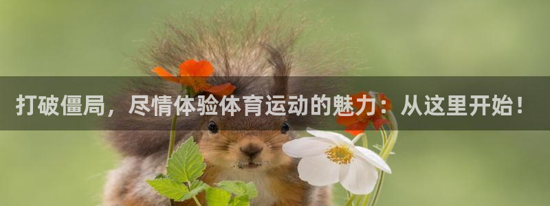 哈哈体育十年：打破僵局，尽情体验体育运动的魅力：从这里开始！