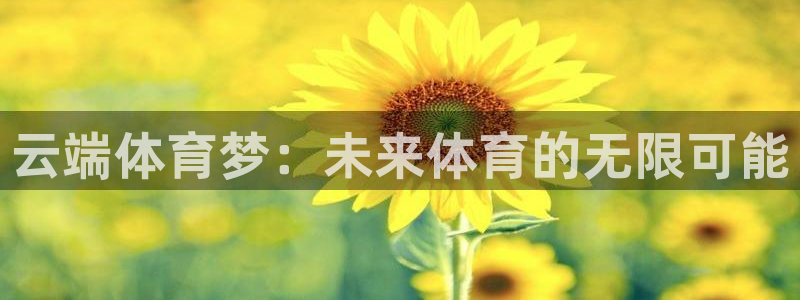 哈哈体育十年：云端体育梦：未来体育的无限可能
