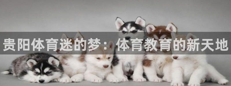 哈哈体育