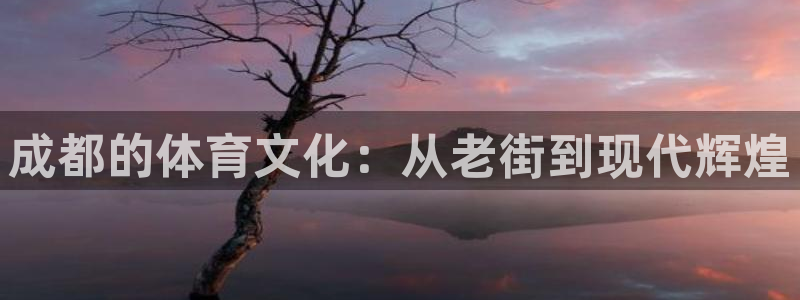 哈哈体育十年