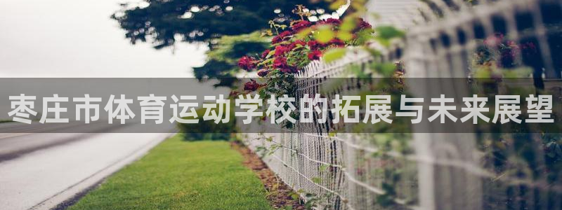 哈哈体育